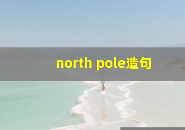 north pole造句